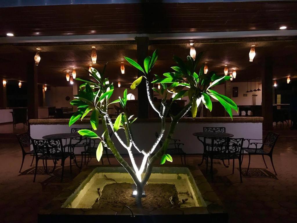 Peacock Beach Hotel Hambantota Exterior foto